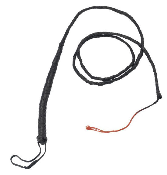 Lange Peitsche 182cm - 1