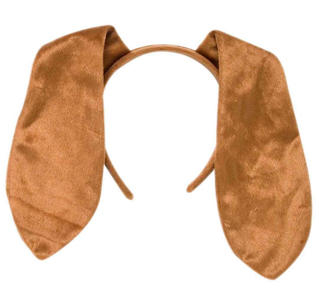 Basset Hound Ohren - 1