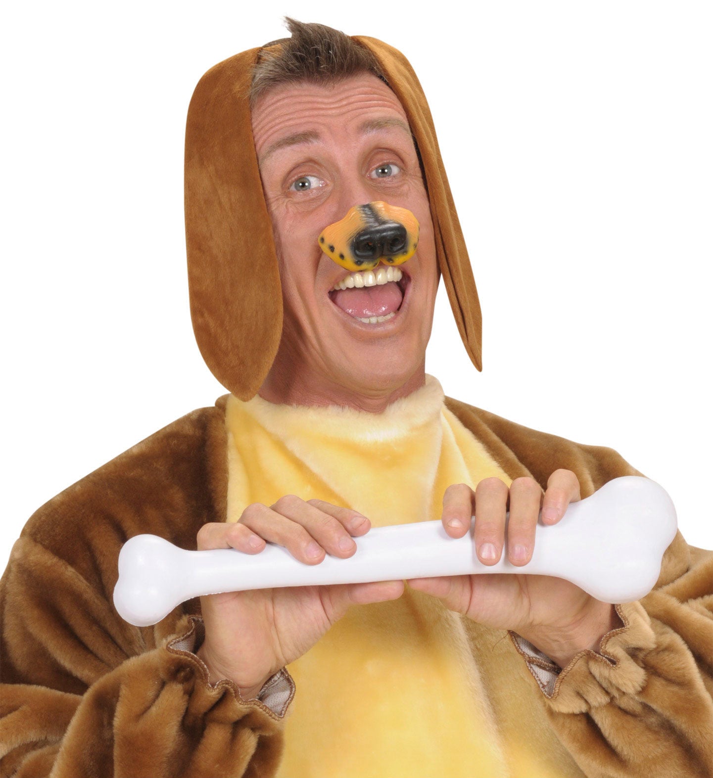 Basset Hound Ohren - 3