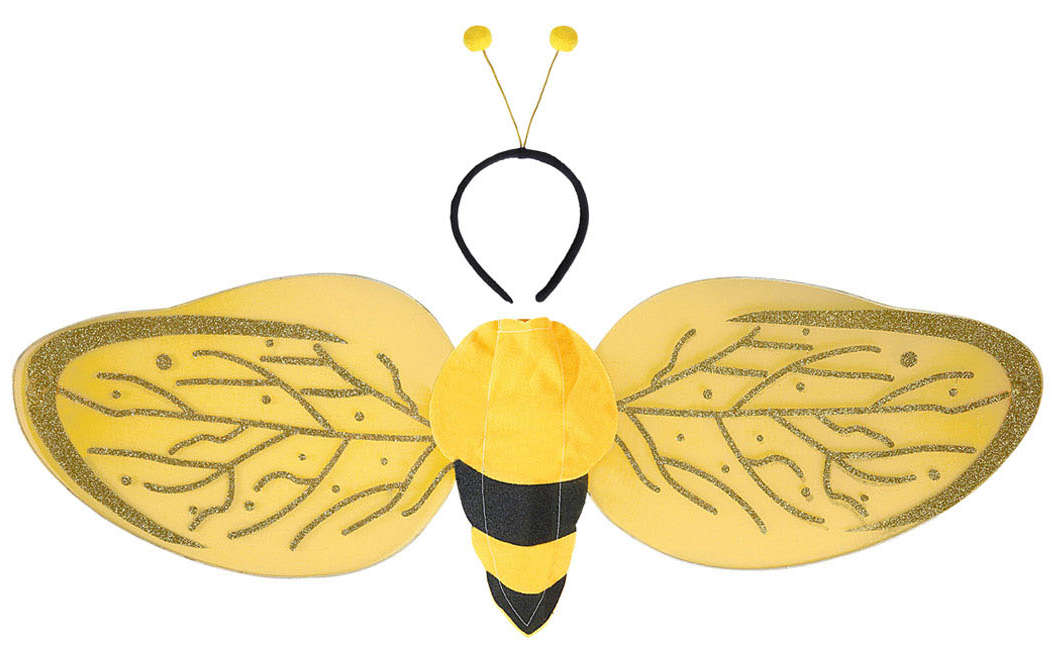 Bienchen Verkleidungsset - 1