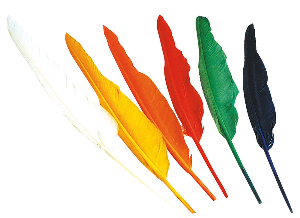 Bunte Federn 12er-Set - 1