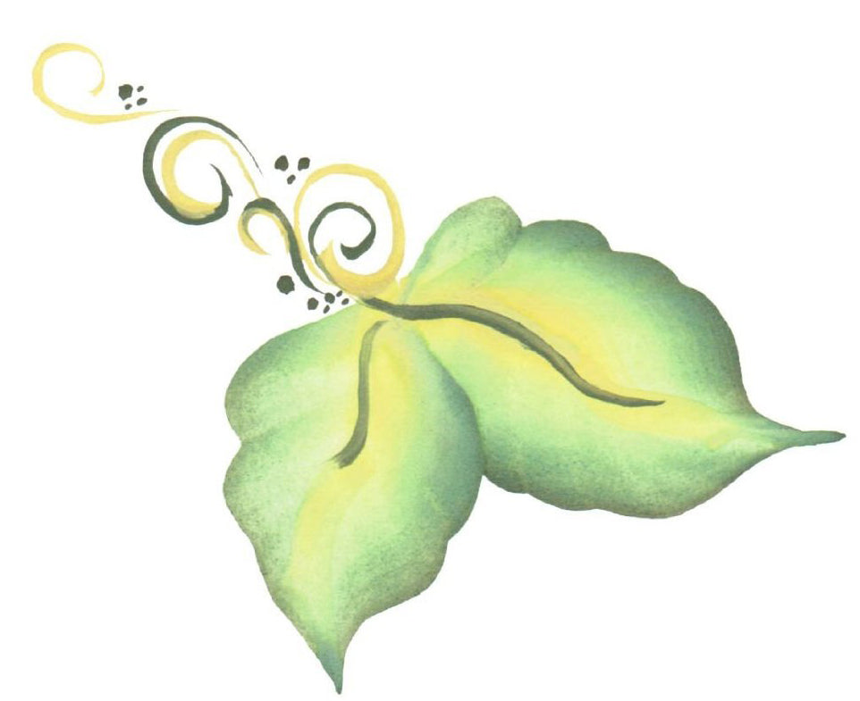 Schminke Split Cake Forest 6ml - 2