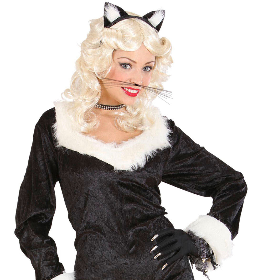 Katzen Schnurrbart - 1