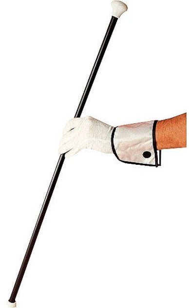 Klassischer Tanzstock mit Quietsch-Effekt 81cm 1