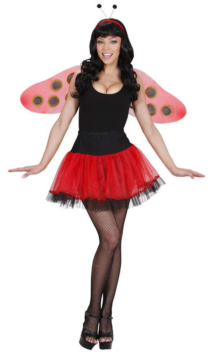 Marienkäfer Verkleidungsset - 2