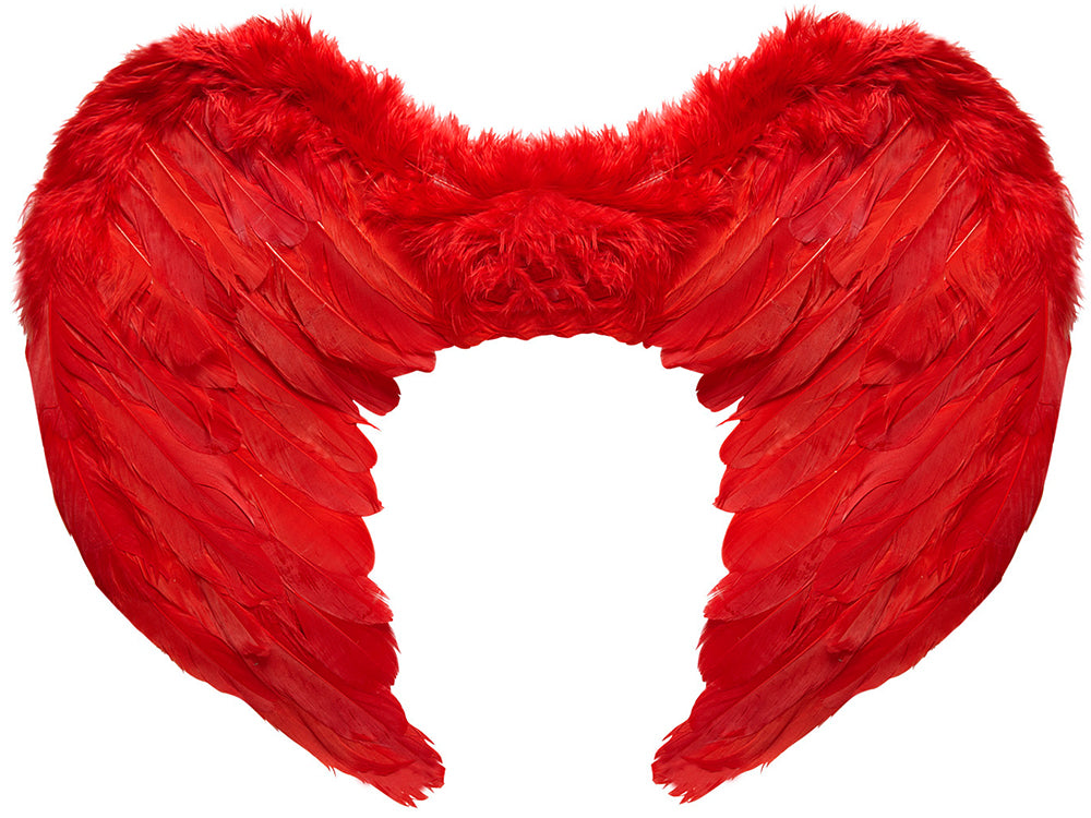 Rote Federflügel 37x50cm - 1