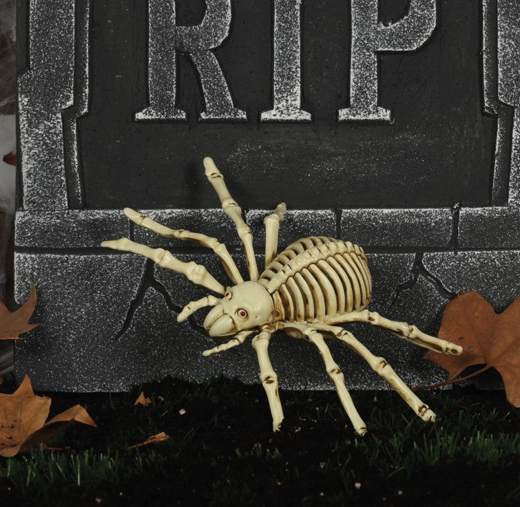 Unheimliche Skelett Spinne 24cm 1