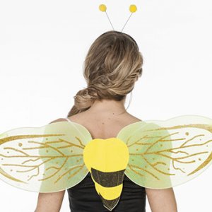 Reiten im Kostüm - Bienenflügel