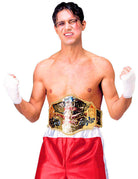 Wrestling-Gürtel World Champion - 1