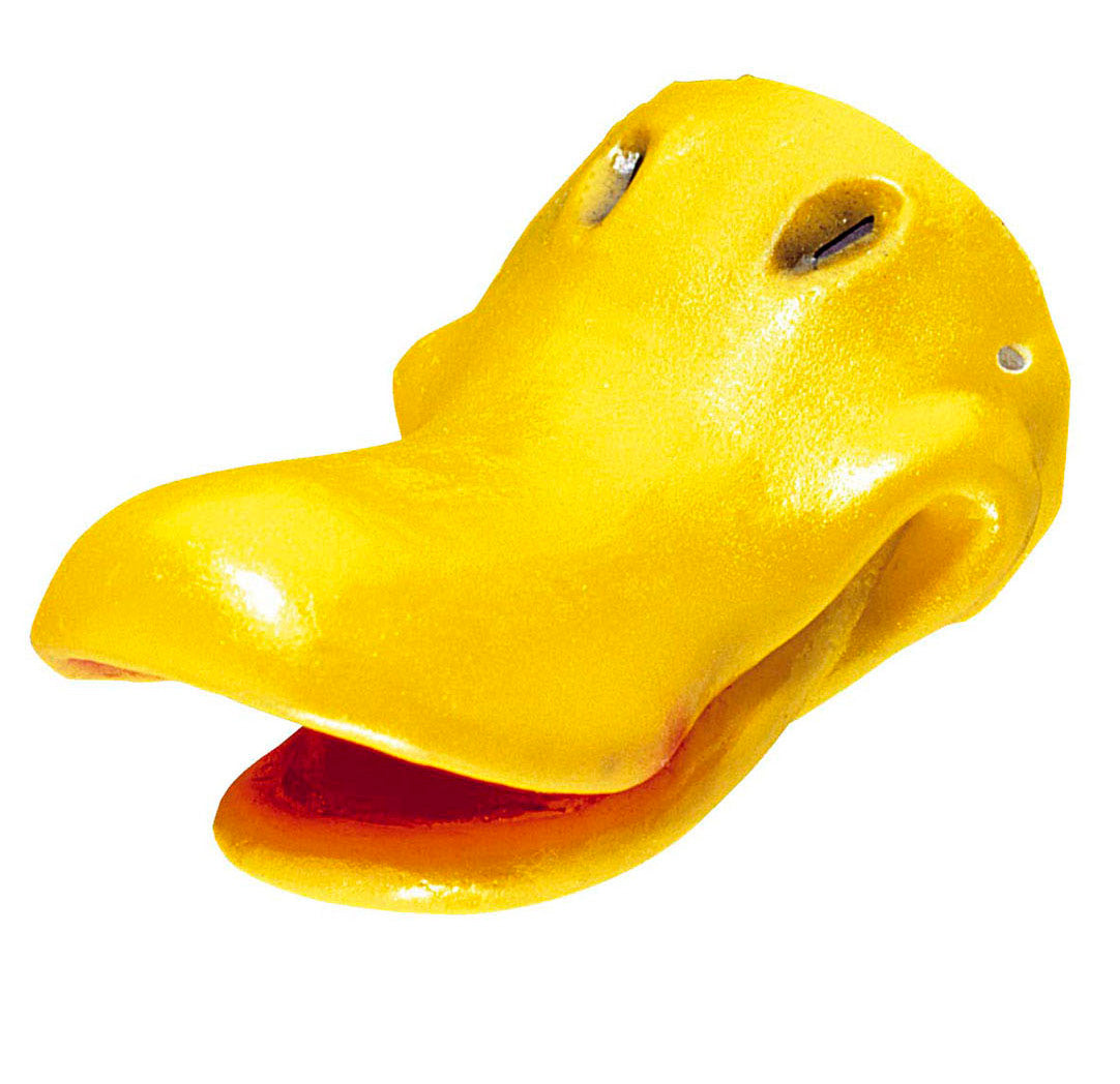 Gerda Gänse Nase - 1