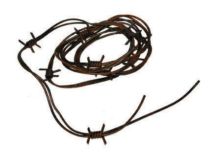 Halloween Stacheldraht Dekoration 2,4m 1